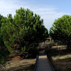 SELINUNTE. Fotografie di Giulio Azzarello ©2022. SELINUNTE. Fotografie di Giulio Azzarello ©2022.