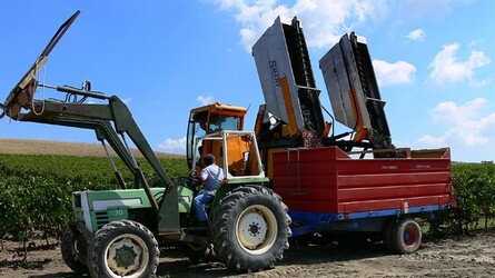 VIGNETO tipico siciliano a Salemi panoramiche e particolari. Fotografie di Giulio Azzarello &copy;2014.