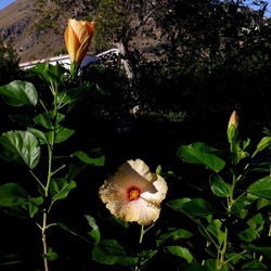 AUTUNNO fotografie di Giulio Azzarello ©2021. AUTUNNO fotografie di Giulio Azzarello ©2021.