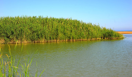 CANNETI in SICILIA. Fotografie di Giulio Azzarello &copy;2016.