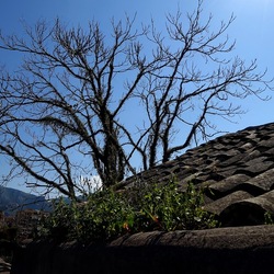 Arabo Normanno. Fotografie di Giulio Azzarello ©2024. Arabo Normanno. Fotografie di Giulio Azzarello ©2024.