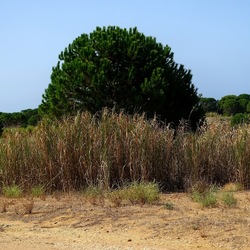 SELINUNTE. Fotografie di Giulio Azzarello ©2022. SELINUNTE. Fotografie di Giulio Azzarello ©2022.