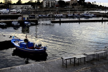 MERCATO del PESCE fotografie di Giulio Azzarello &copy;2019.
