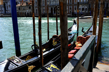LUNGOMARE di VENEZIA. Fotografie di Giulio Azzarello &copy;2016.