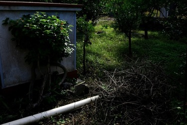 GIARDINO SICILIANO fotografie di Giulio Azzarello &copy;2020.