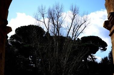 COLOSSEO Roma. Fotografie di Giulio Azzarello ©2020. COLOSSEO Roma. Fotografie di Giulio Azzarello ©2020.