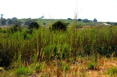 CANNETI in SICILIA. Fotografie di Giulio Azzarello &copy;2016.