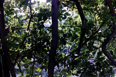 DIGITALIZZAZIONI fotografie di Giulio Azzarello &copy;2020.