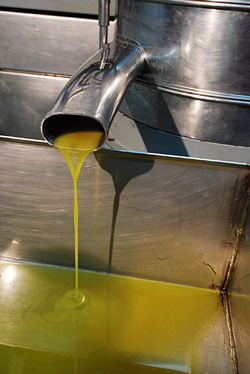 TIPICO FRANTOIO fotografie di Giulio Azzarello ©2014. TIPICO FRANTOIO fotografie di Giulio Azzarello ©2014.