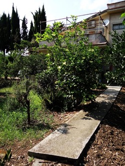 HABITAT NATURA in campagna. Fotografie di Giulio Azzarello ©2015 2016. HABITAT NATURA in campagna. Fotografie di Giulio Azzarello ©2015 2016.