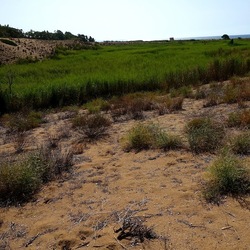 SELINUNTE. Fotografie di Giulio Azzarello ©2022. SELINUNTE. Fotografie di Giulio Azzarello ©2022.