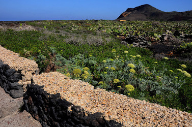 ISOLA DI LINOSA panoramiche e particolari. Fotografie di Giulio Azzarello &copy;2014.