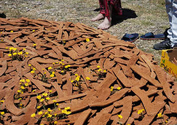 ARTE CONTEMPORANEA A PIRGI sito e riserva archeologica. Fotografie di Giulio Azzarello &copy;2014.