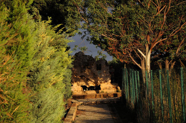 LUIGI PIRANDELLO il parco e la casa museo. Fotografie di Giulio Azzarello ©2014.