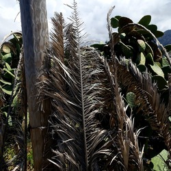TERRASINI. Fotografie di Giulio Azzarello &copy;2022.