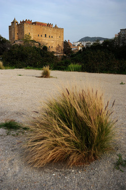 CANTIERI CULTURALI ALLA ZISA a Palermo. Fotografie di Giulio Azzarello &copy;2014.