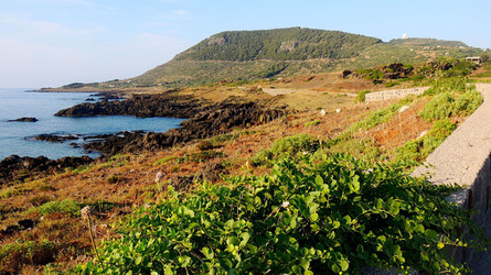 ISOLA DI USTICA la costa. Fotografie di Giulio Azzarello &copy;2016.