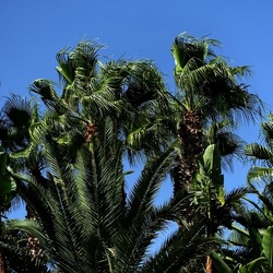 SELINUNTE. Fotografie di Giulio Azzarello ©2022. SELINUNTE. Fotografie di Giulio Azzarello ©2022.