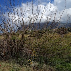 TERRASINI. Fotografie di Giulio Azzarello &copy;2022.