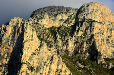 MACCHIA MEDITERRANEA in Sicilia. Fotografie di Giulio Azzarello &copy;2106.