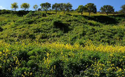 PAESAGGIO SICILIANO nel luogo delle macalube in Sicilia. Fotografie di Giulio Azzarello &copy;2014.
