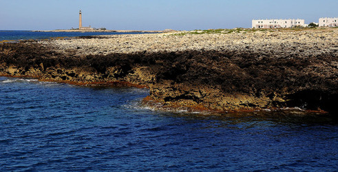 ISOLA DI FAVIGNANA in Sicilia. Visioni panoramiche o particolari. Fotografie di Giulio Azzarello ©2014. ISOLA DI FAVIGNANA in Sicilia. Visioni panoramiche o particolari. Fotografie di Giulio Azzarello ©2014.