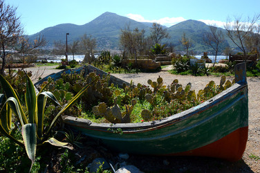 CAPO GALLO riserva marina e naturalistica a Palermo panoramiche e particolari. Fotografie di Giulio Azzarello ©2014. CAPO GALLO riserva marina e naturalistica a Palermo panoramiche e particolari. Fotografie di Giulio Azzarello ©2014.