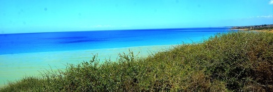 SELINUNTE sito archeologico. Fotografie di Giulio Azzarello ©2018. SELINUNTE sito archeologico. Fotografie di Giulio Azzarello ©2018.