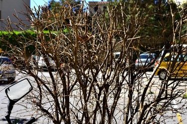 PERIFERIE fotografie di Giulio Azzarello ©2019.