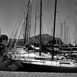 VELA fotografie di Giulio Azzarello ©2021. VELA fotografie di Giulio Azzarello ©2021.