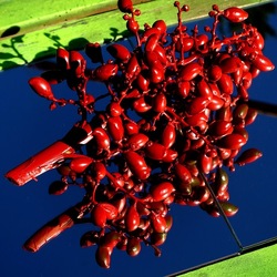 SPECCHIATI. Fotografia di Giulio Azzarello ©2023. SPECCHIATI. Fotografia di Giulio Azzarello ©2023.