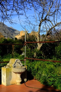 CAMPAGNA fotografie di Giulio Azzarello ©2020.