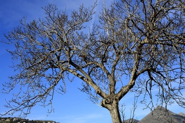 CAMPAGNA fotografie di Giulio Azzarello ©2020.