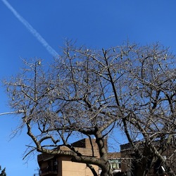 Arabo Normanno. Fotografie di Giulio Azzarello ©2024. Arabo Normanno. Fotografie di Giulio Azzarello ©2024.