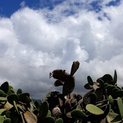 TERRASINI. Fotografie di Giulio Azzarello &copy;2022.