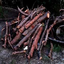 INVERNO. Fotografie di Giulio Azzarello &copy;2023.