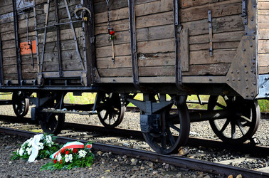AUSCHIWITZ BIRKENAU il luogo della storia il campo. Fotografie di Giulio Azzarello &copy;2016.