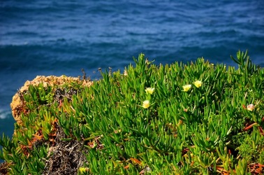 TERRASINI in Sicilia. Fotografie di Giulio Azzarello &copy;2018.