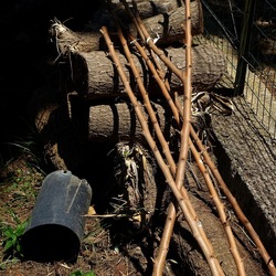 GIARDINO SICILIANO. Fotografie di Giulio Azzarello ©2022. GIARDINO SICILIANO. Fotografie di Giulio Azzarello ©2022.