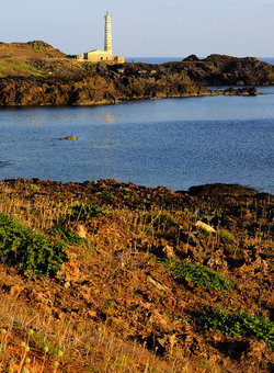 ISOLA DI USTICA la costa. Fotografie di Giulio Azzarello &copy;2016.