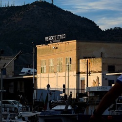 PALERMO fotografie di Giulio Azzarello &copy;2020.