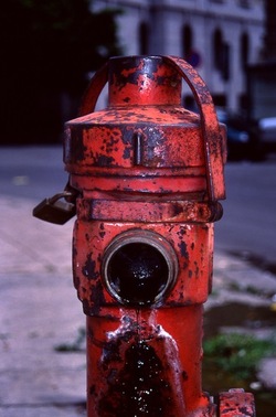 DIGITALIZZAZIONI fotografie di Giulio Azzarello &copy;2020.