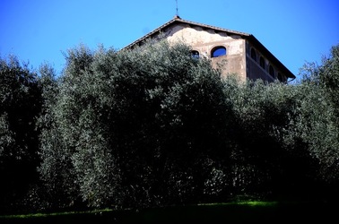 PARCO ARCHEOLOGICO DEL PALATINO Roma. Fotografie di Giulio Azzarello ©2020.