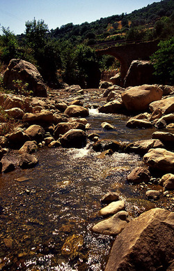 FIUMARA D ARTE fotografie di Giulio Azzarello ©1996 2021.