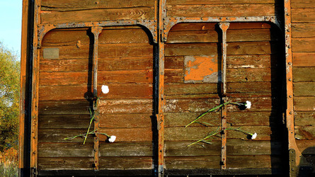 AUSCHHWITZ BIRKENAU la commemorazione. Fotografie di Giulio Azzarello &copy;2016.