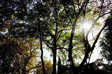 GIARDINI della BIENNALE a Venezia. Foto di Giulio Azzarello &copy;2015 2016.