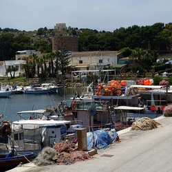 SAN VITO LO CAPO. Fotografie di Giulio Azzarello ©2023. SAN VITO LO CAPO. Fotografie di Giulio Azzarello ©2023.