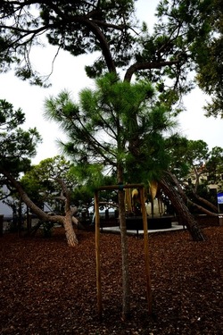 BIENNALE ARTI CONTEMPORANEE DI VENEZIA fotografie di Giulio Azzarello ©2020.