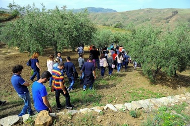 FRANTOIO GULLO ad Aliminusa in Sicilia. Fotografie di Giulio Azzarello &copy;2018.