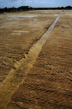 WWF Sicilia le Saline di Trapani. Fotografie di Giulio Azzarello &copy;2014.